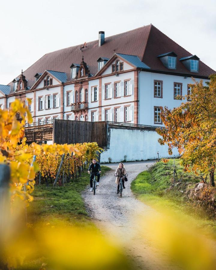 Hotel Val-Vignes Colmar Haut-Koenigsbourg, The Originals Relais Сен-Иполит Екстериор снимка